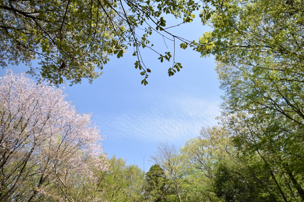 空窓