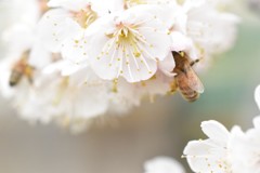 無我夢中