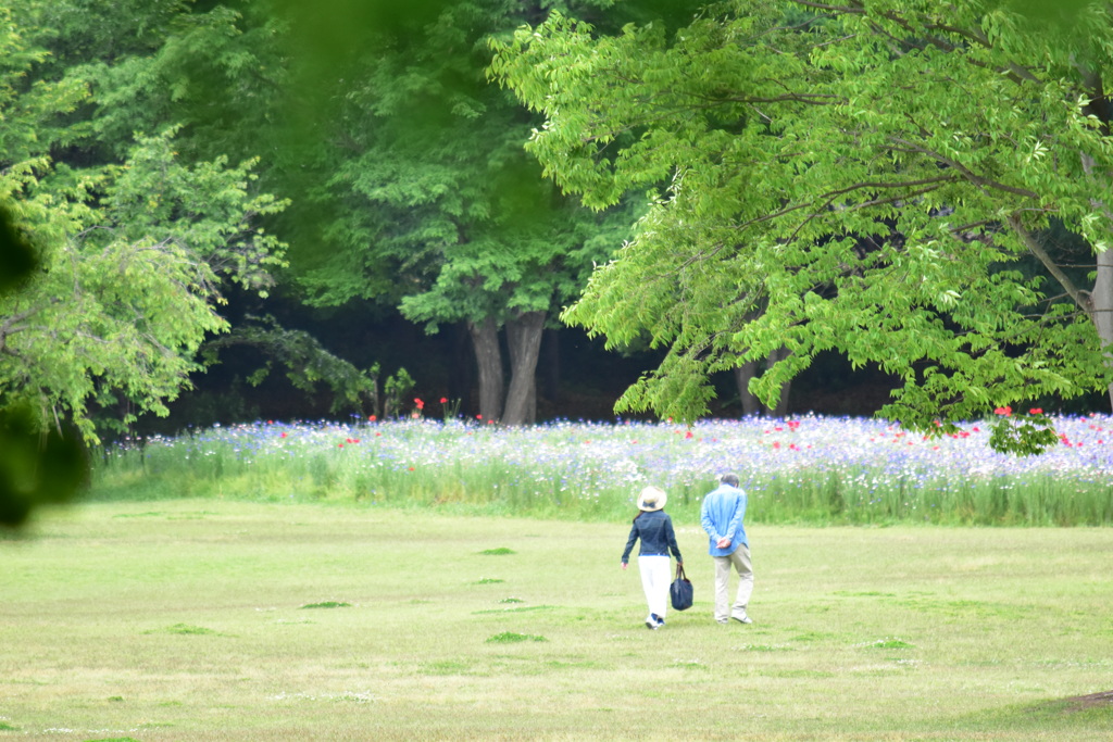 君とどこまでも