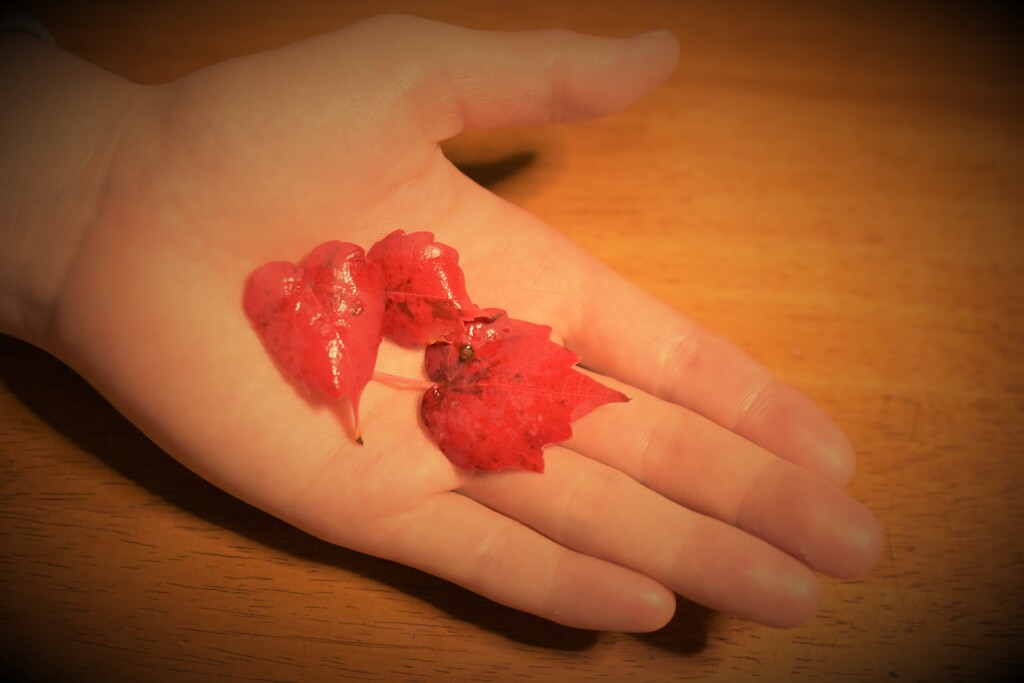なまめかしい紅