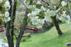 好きな風景