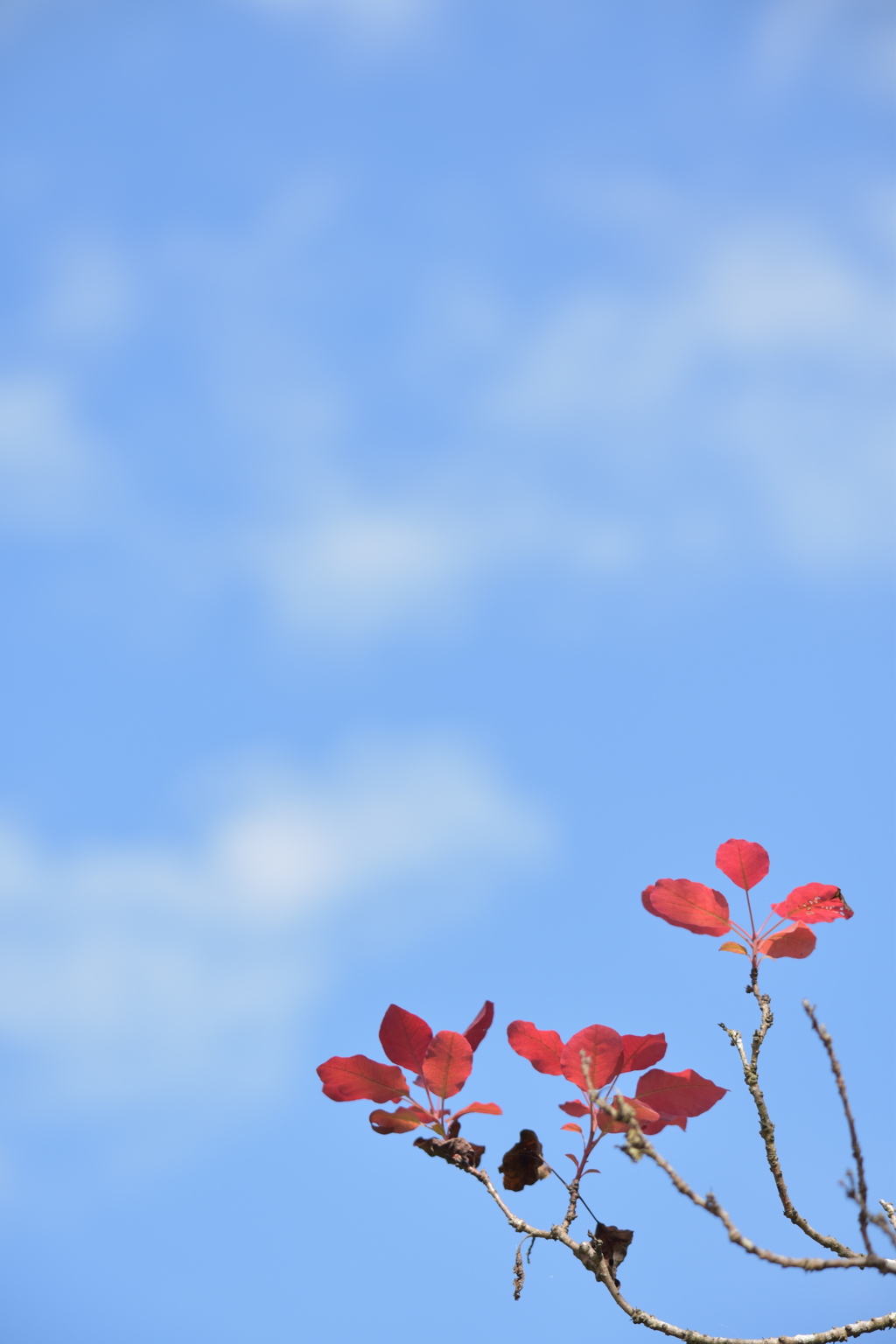 空が高いね