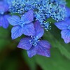峠のお茶屋さんにて