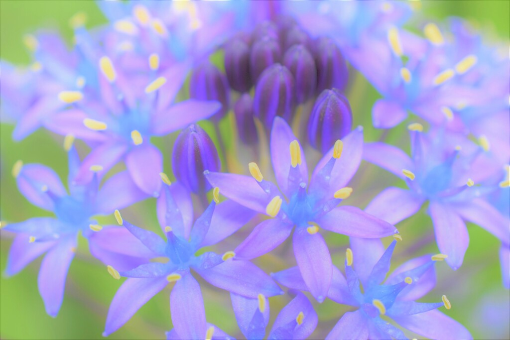 色遊び