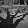 忍び寄る魔の手