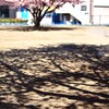 届かぬ想い