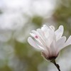 そっと受け止める