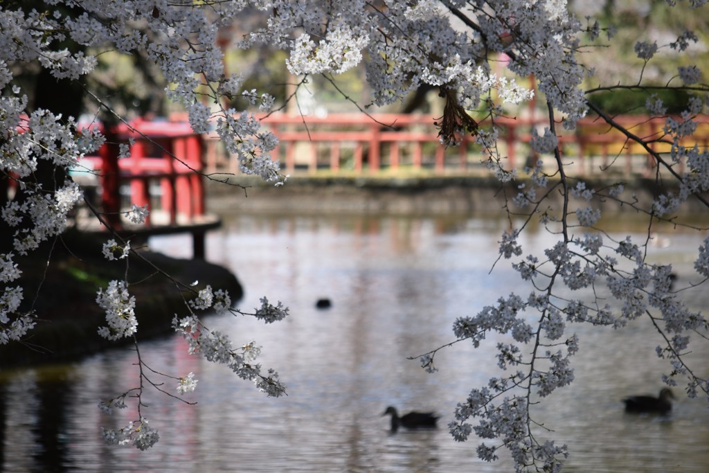 静かに流れる時
