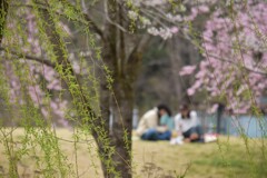 優しい風につつまれて