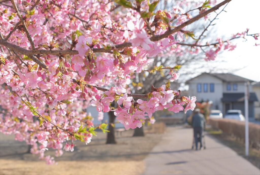 明日はきっといい日になるよ