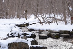 錦大沼公園