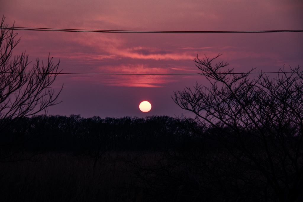 夕日