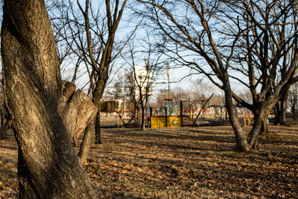 緑ヶ丘公園