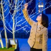 願いが叶う木