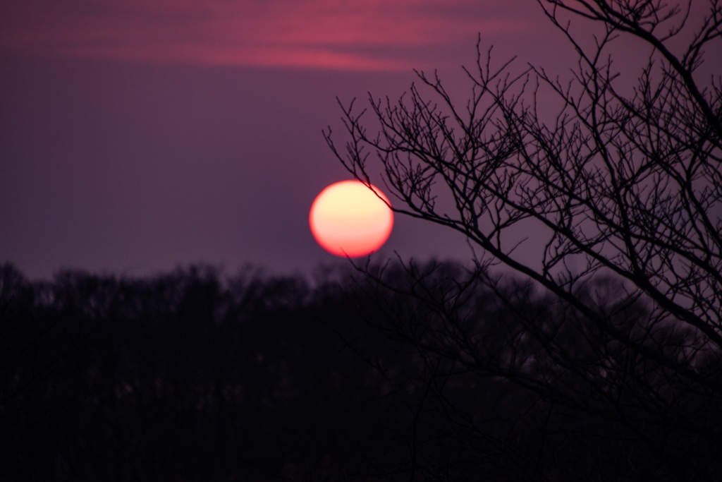 夕日