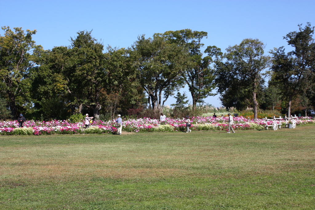 公園