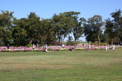 公園