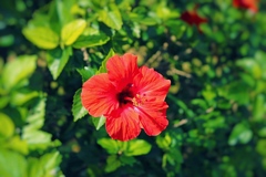 IMG_0330_Fotor
