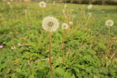 8AB9E799-5C63-4D1B-B3C6-E5466B2D2761