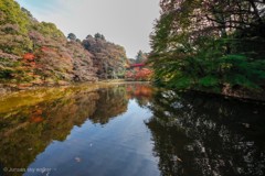 泉自然公園②