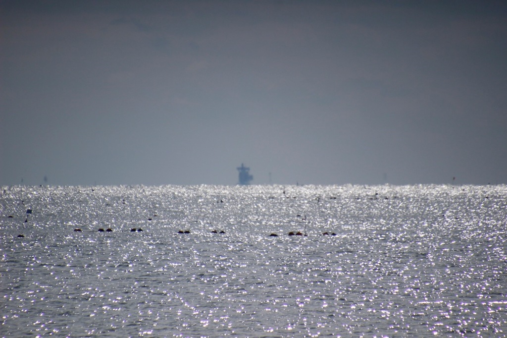 袖ヶ浦海浜公園