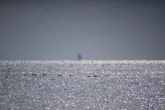 袖ヶ浦海浜公園