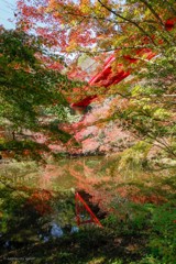 泉自然公園①