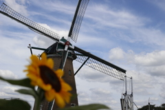 IMG_2012