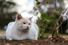 近づく冬の中で