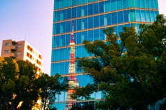 鏡面に写る東京タワー