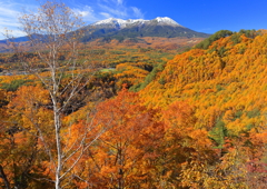 御岳山と秋の紅葉