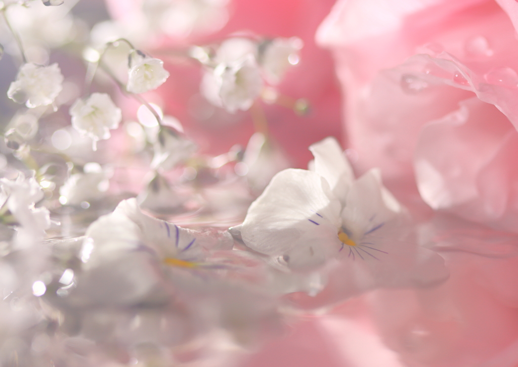 White and pink melt