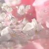 White and pink melt