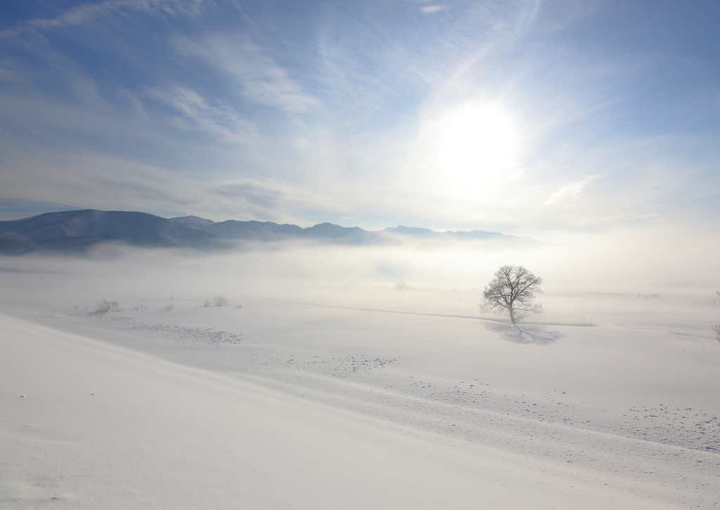 遥かなる雪原