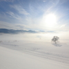 遥かなる雪原