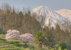 妙高山を眺める春の一日