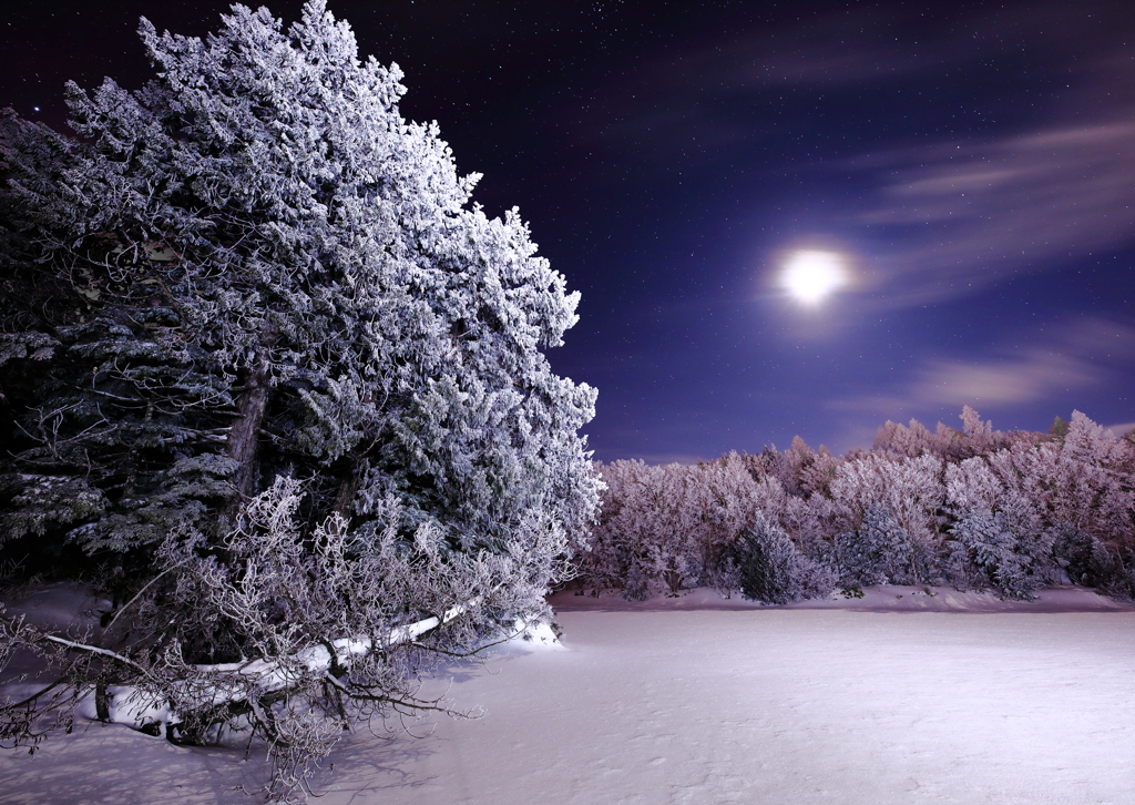 冬の月夜はあら楽し