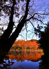 深まる山の秋