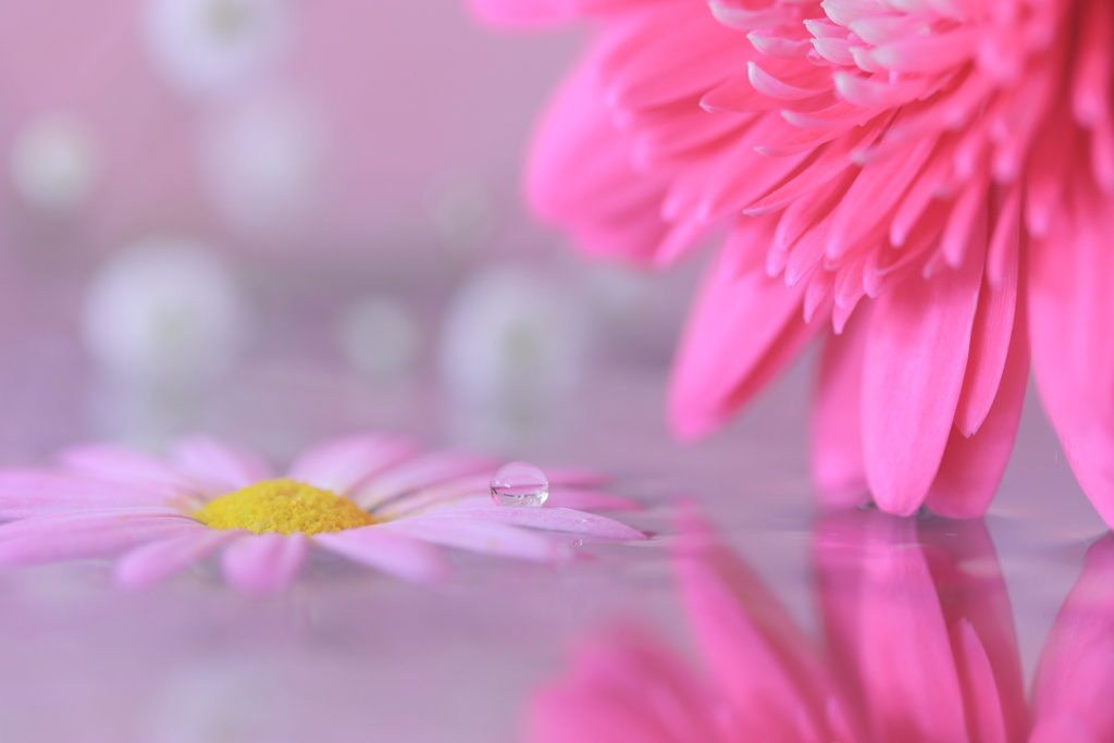 Transparent pink