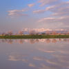 ある桜のある風景