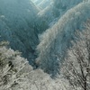 霧氷の澗満滝