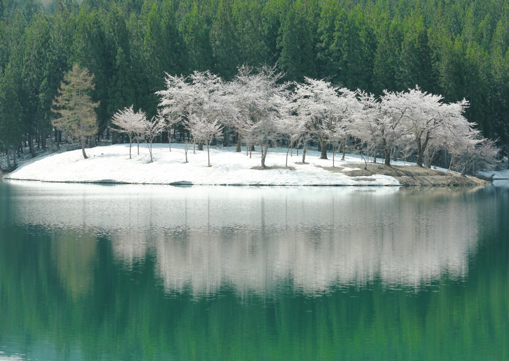 童話の森