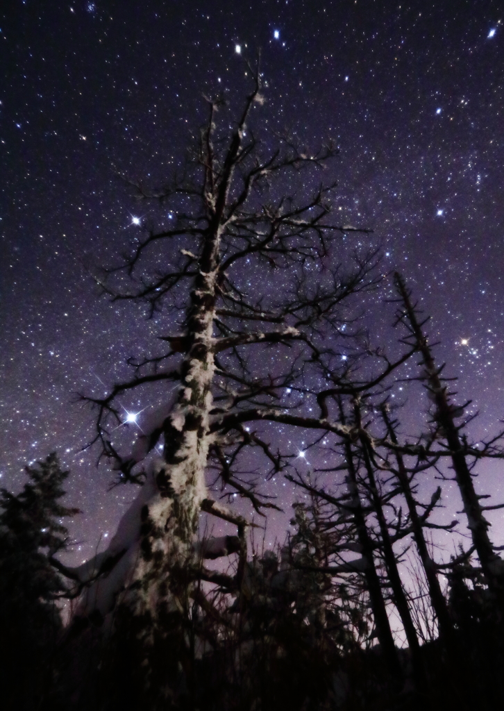 厳冬の星空