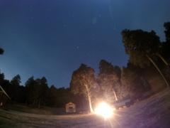 G0020138_1547466478732_high
