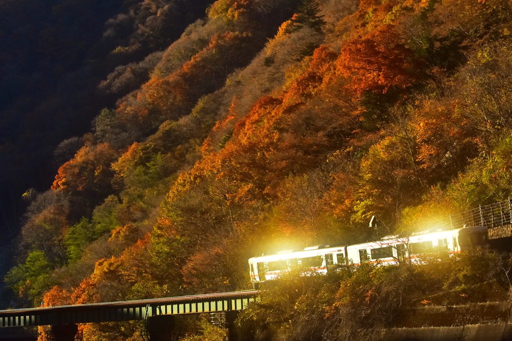 晩秋の夕陽