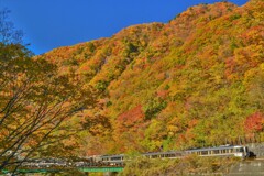 紅葉 と青空