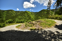 自粛が明けると山は夏になっていました