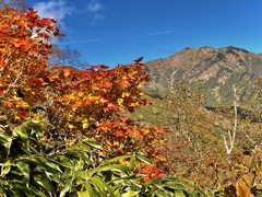 別山　秋真っ盛り