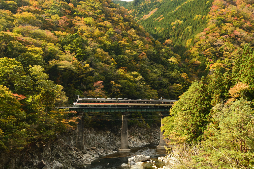 秋の谷間に吹く風