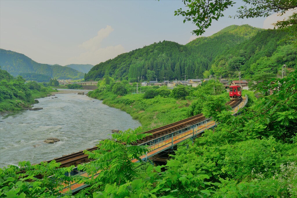 水と森の季節